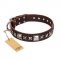 "Perfect Impression" FDT Artisan Brown Leather Collie Collar with Silvery Square Studs