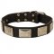 Leather Collie Collar with Large Nickel Plates