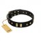 "De Luxe" FDT Artisan Black Leather Collie Collar with Old Bronze-like Plates and Studs