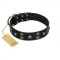 "Skull Art" Designer Handmade FDT Artisan Black Leather Collie Collar with Skulls