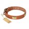 "Enchanting Spectacle" FDT Artisan Tan Leather Collie Collar with Old Bronze Look Plates and Round Studs