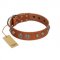 "Era Infinitum" FDT Artisan Tan Leather Collie Collar Adorned with Chrome-plated Circles