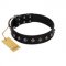 "Immense Power" Handcrafted FDT Artisan Black Leather Collie Collar with Small Dotted Pyramids