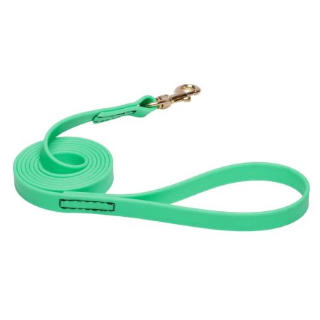 Green Waterproof Collie Leash Made of Biothane