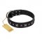 "Polar Lights" Designer FDT Artisan Black Leather Collie Collar with Silver-Like Studs
