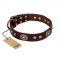 "Breath of Elegance" FDT Artisan Decorated with Plates Brown Leather Collie Collar