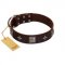 "Cold Star" Designer FDT Artisan Brown Leather Collie Collar with Silver-Like Adornments