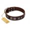"Needle Stories" Modern FDT Artisan Brown Leather Collie Collar with Square Engraved Plates and Four-Point Stars