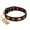 "Hebe's Jewel" FDT Artisan Brown Genuine Leather Collie Collar