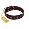 "Pure Sensation" Exclusive FDT Artisan Brown Leather Collie Collar with Fancy Brooches and Studs