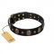 Pirate's Spell' FDT Artisan Black Leather Collie Collar with Engraved Studs and Medallions
