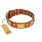 "Mutt The Daredevil" FDT Artisan Tan Leather Collie Collar with Old Bronze-like Skulls and Plates