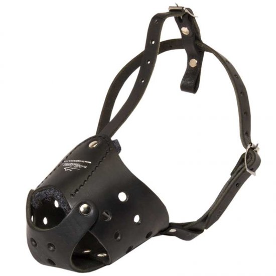 leather muzzle