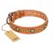 "Feast of Luxury" FDT Artisan Tan Leather Collie Collar with Old Bronze Look Circles