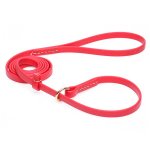 Durable Red Biothane Collie Leash and Collar Combo