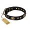 "High Fashion" FDT Artisan Studded with Plates Black Leather Collie Collar