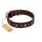 "Stellar Fairy " FDT Artisan Brown Leather Collie Collar with Chrome-plated Star-like Decorations