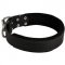 Collie Durable Padded Leather Collar 40 mm
