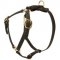 Y-Shaped Leather Collie Harness for Tracking and Training