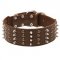 Extra Wide Leather Spiked and Studded Collie Collar