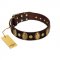 "Retro Pusle" FDT Artisan Brown Leather Collie Collar with Old Bronze-like Studs and Oval Brooches