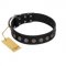 "Silent Star" Handmade FDT Artisan Designer Black Leather Collie Collar with Engraved Plates