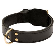 Training 2 Ply Leather Collie Collar