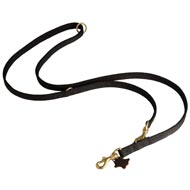 Nylon Collie Leash for Patrolling, Walking and Training