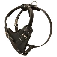 Protection Leather Collie Harness for Attack / Agitation Dog Training