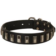 Collie Leather Collar with Shiny Plates
