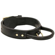 Extra Durable Leather Collie Collar with Handle for Attack Training