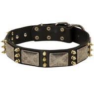 Collie Spiked Leather Collar with Nickel Plates