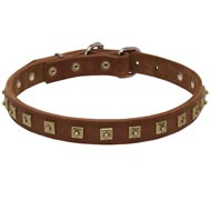 Handcrafted 1 Row Square Studded Leather Collie Collar