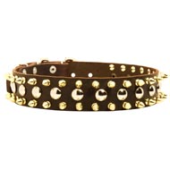 Spiked and Studded Collie Leather Collar