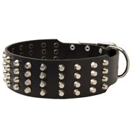 Extra Wide Studded Leather Collie Collar
