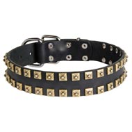 2 Rows Brass Studded Leather Collie Collar for Walking and Training