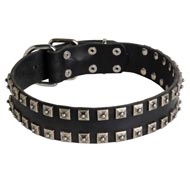 "Caterpillar" Design Leather Collie Collar with Studs