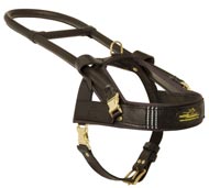 Guide and Assistance Leather Collie Harness