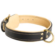 Royal Design Nappa Padded Leather Collie Collar