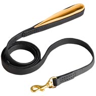 Leather Collie Leash with Padded Handle for Walking and Training