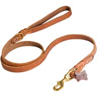 Walking and Training Leather Collie Leash with Comfy Handle