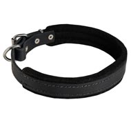 Soft Padded Leather Collie Collar for Dog Training