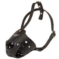 Everyday Leather Collie Muzzle for Training