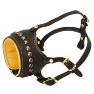 Open Nose Studded Leather Collie Muzzle With Nappa Padding