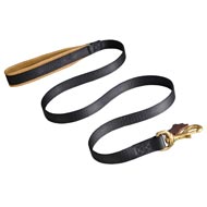 No Rubbing Nylon Collie Leash with Support Leather Material on the Handle