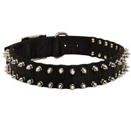 Collie Nylon Collar Adorned with Spikes