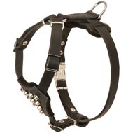 Studded Leather Collie Puppy Harness