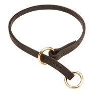 Collie Leather Choke Collar Effective Training