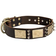 Designer War-Style Leather Collie Collar with Spikes and Plates