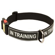 All Weather Nylon Collie Collar with ID Patches